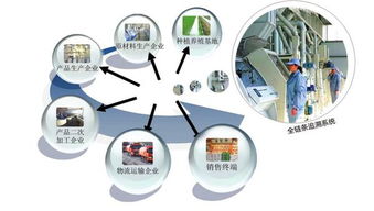 健康食品質量追溯系統定制開發 從程序到系統的全流程解析